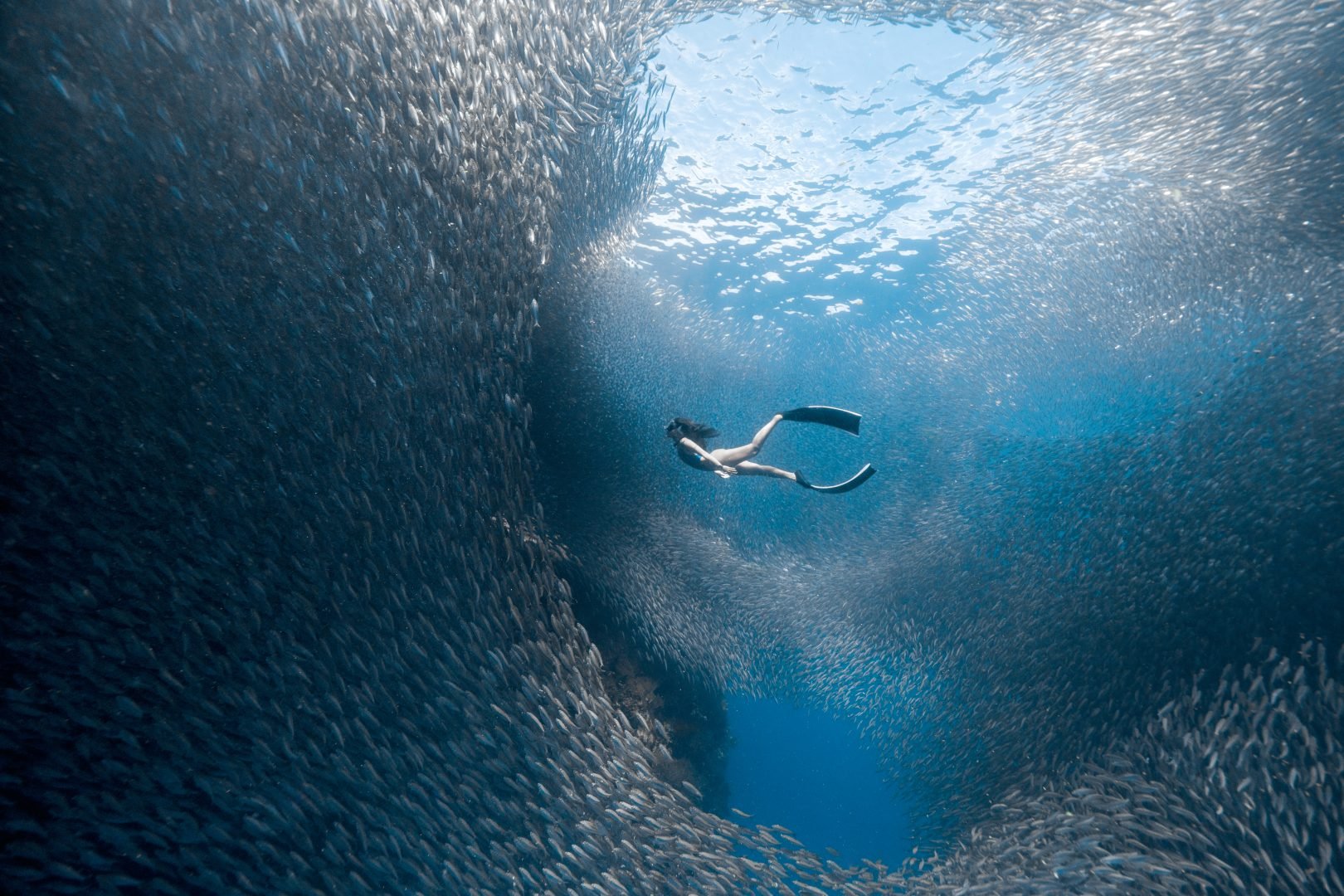 This award-winning photographer free dives for the perfect shot