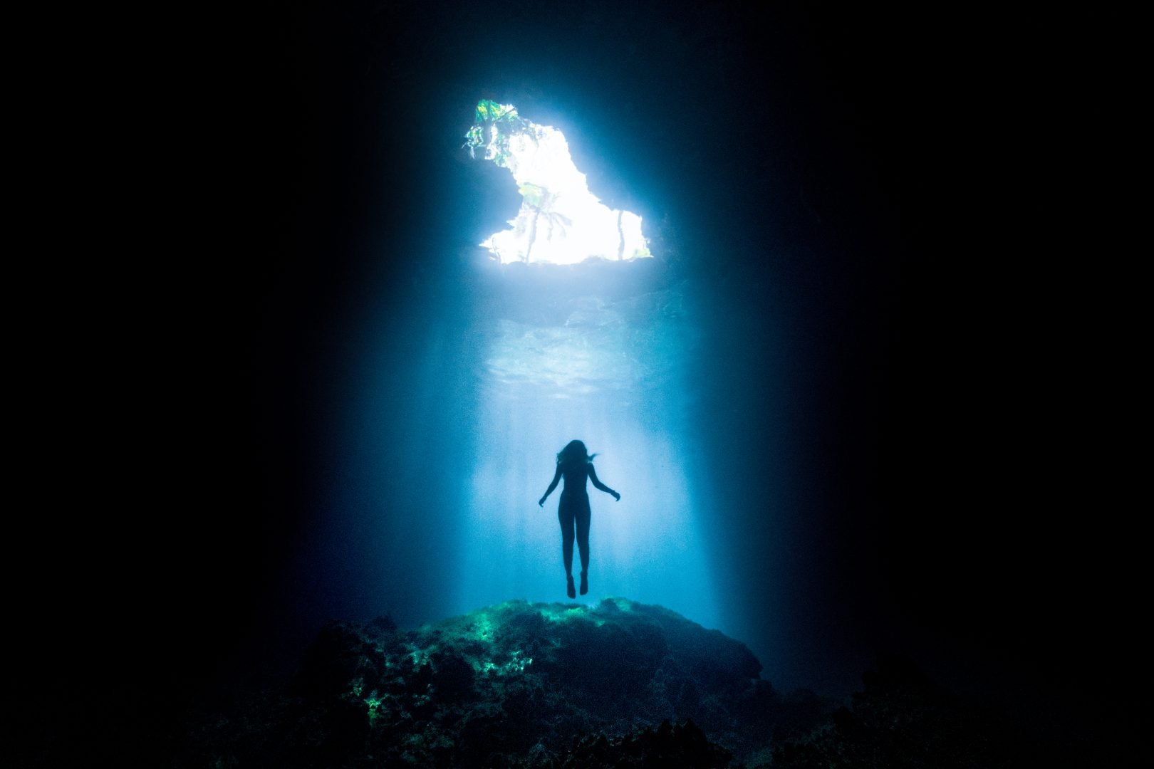 This award-winning photographer free dives for the perfect shot