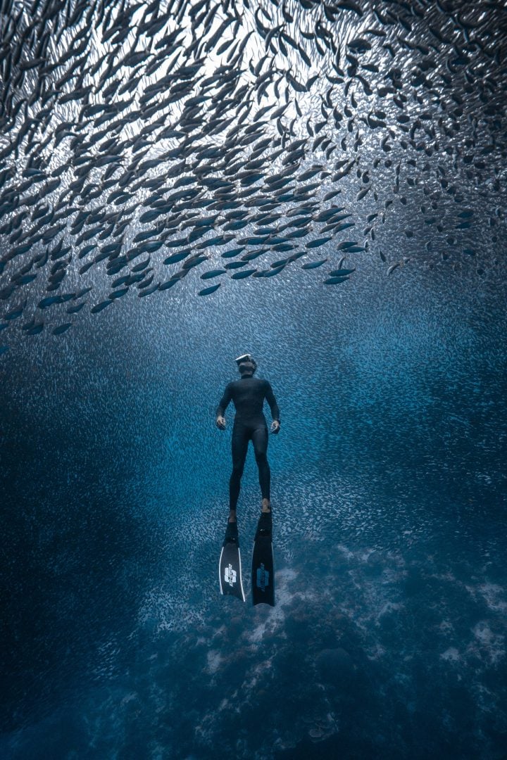 This award-winning photographer free dives for the perfect shot