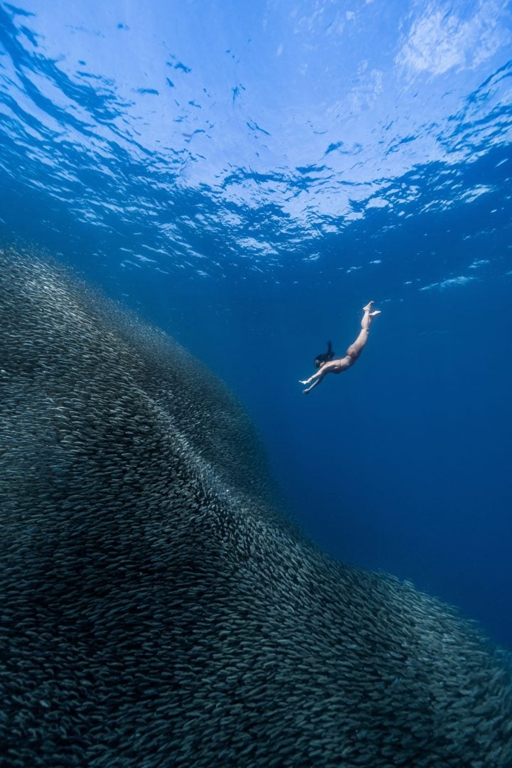 This award-winning photographer free dives for the perfect shot