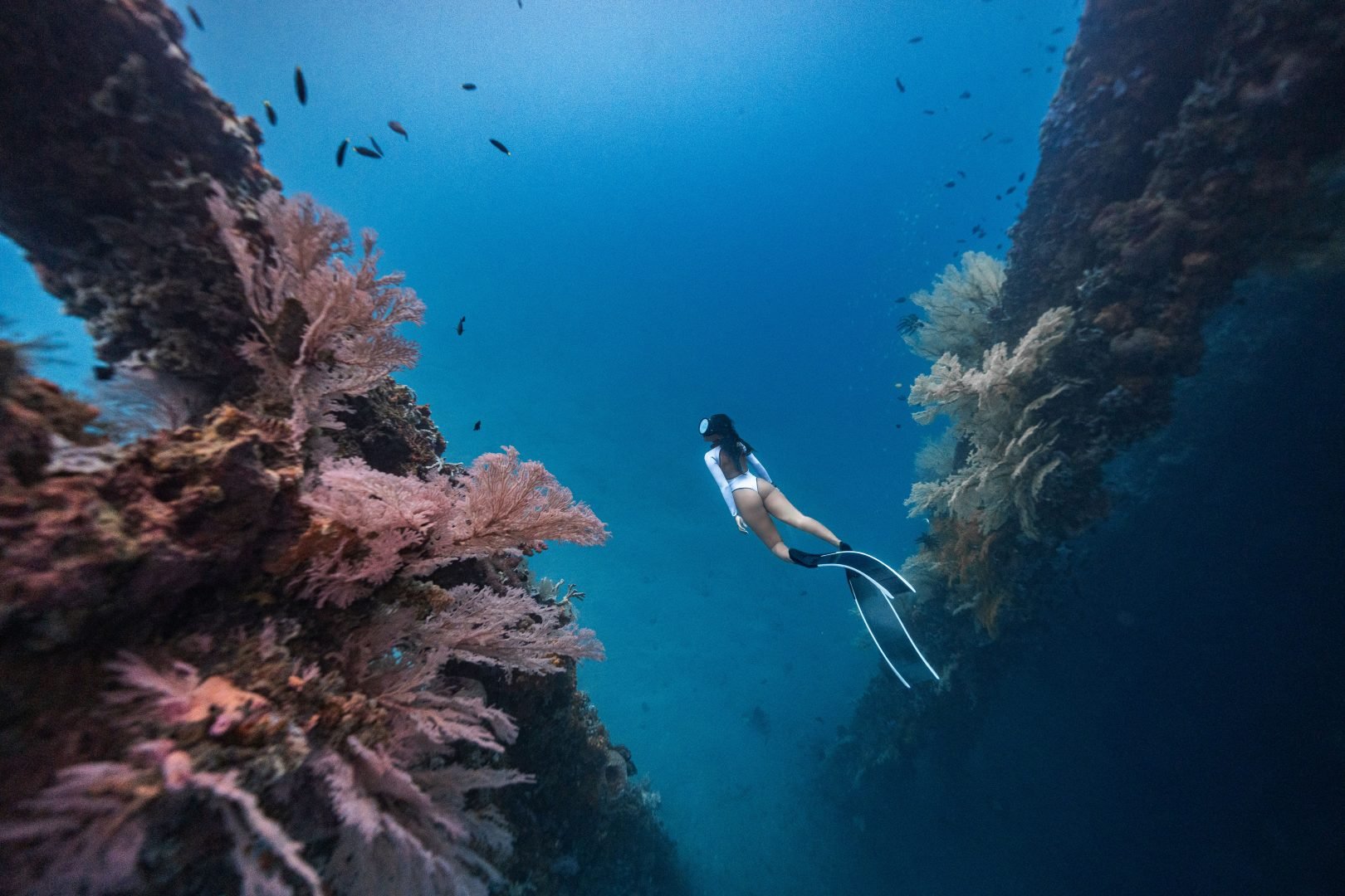 This award-winning photographer free dives for the perfect shot