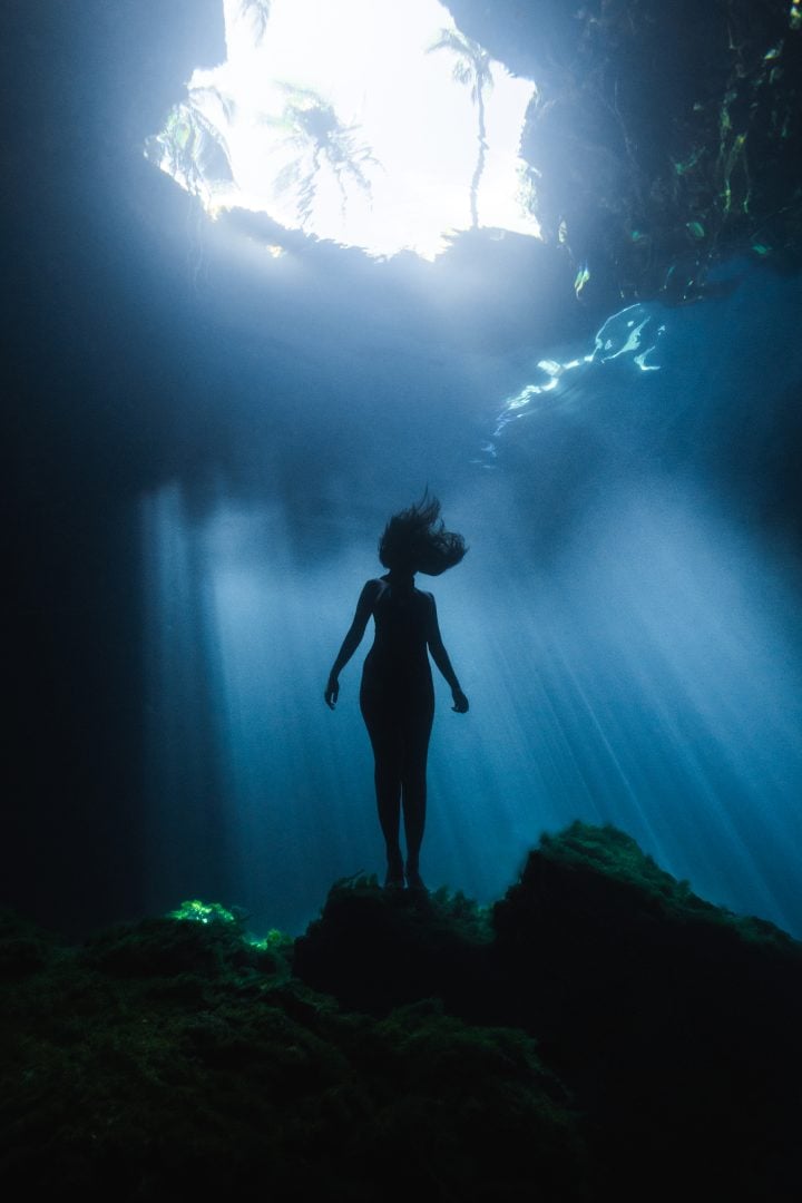 This award-winning photographer free dives for the perfect shot