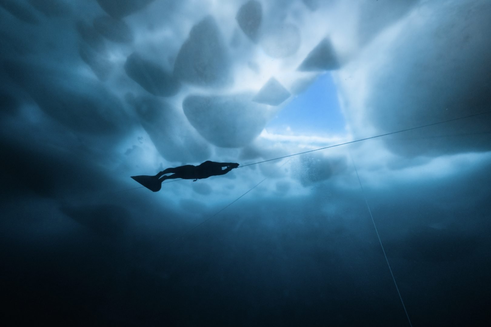 This award-winning photographer free dives for the perfect shot
