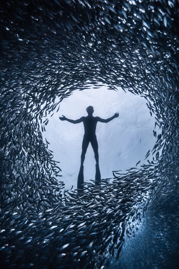 This award-winning photographer free dives for the perfect shot