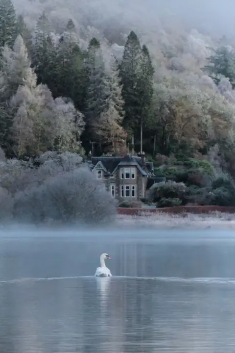 A swan on a hillside by Stuart Irwin and a frosty scene of a hillside and house in the background.