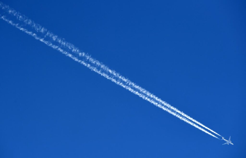 Switching from X/Twitter to Bluesky? Here's what you need to do first